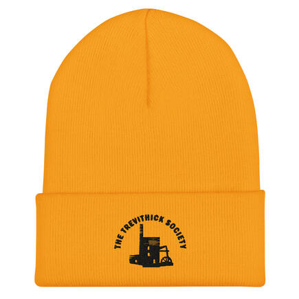 Gold Cuffed Beanie Gold Cuffed Beanie